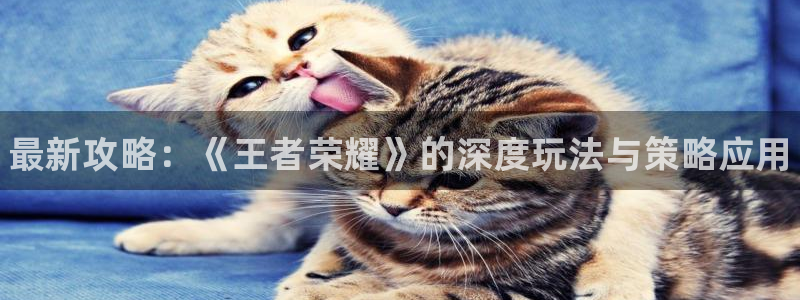 天美娱乐平台官网客服电话：最新攻略：《王者荣耀》的深度玩法与