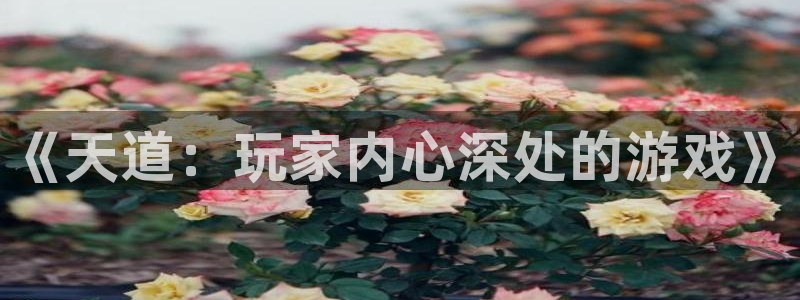 天美娱乐平台