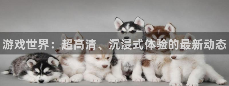 天美娱乐网页版地址：游戏世界：超高清、沉浸式体验的最新动态