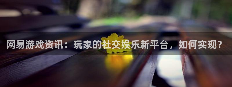 天美娱乐官网：网易游戏资讯：玩家的社交娱乐新平台，如何实现？