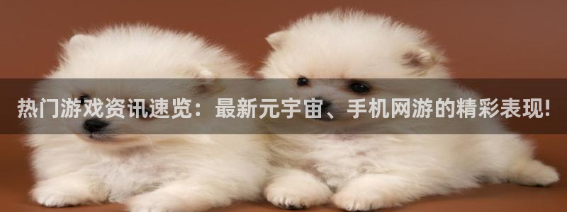天美娱乐注册开户：热门游戏资讯速览：最新元宇宙、手机网游的精