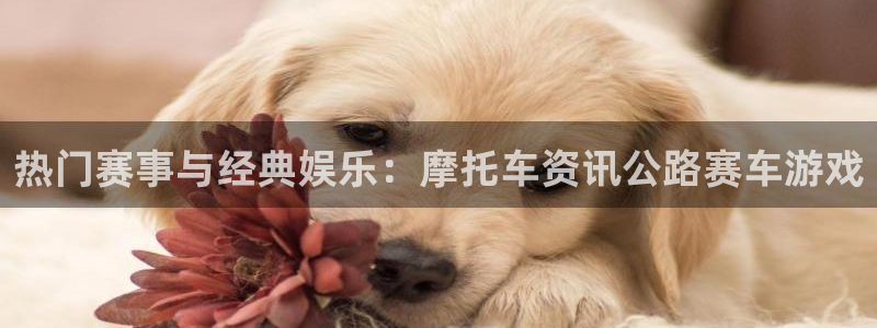 天美娱乐官方平台