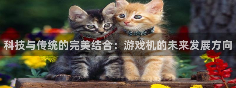 天美娱乐测速登陆