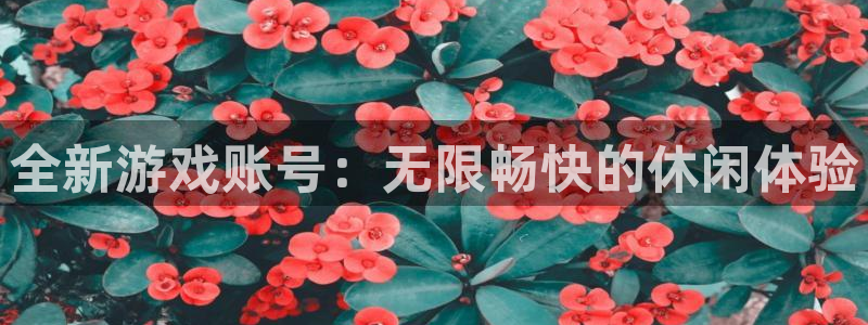 天美娱乐4主管