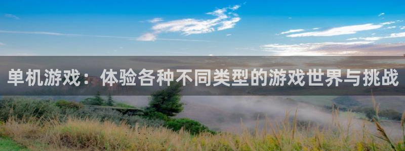 天美娱乐4主管：单机游戏：体验各种不同类型的游戏世界与挑战