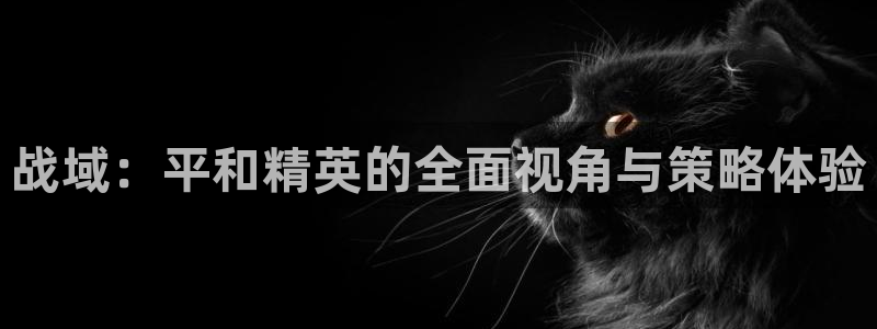 天美娱乐什么意思：战域：平和精英的全面视角与策略体验